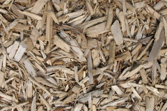 biomass boilers Linkinhorne